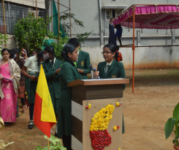 Karnataka Rajyotsava