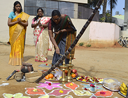 Makara Sankranthi Celebration