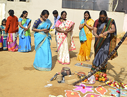 Makara Sankranthi Celebration