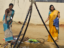 Makara Sankranthi Celebration