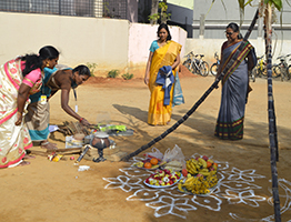 Makara Sankranthi Celebration