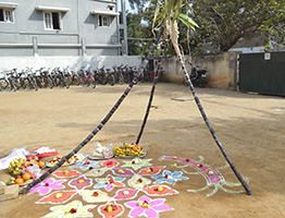 Makara Sankranthi Celebration