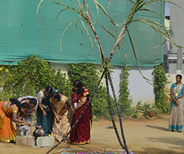 Makara Sankranti