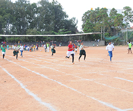 Sports Day