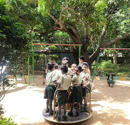 Orientation Programme